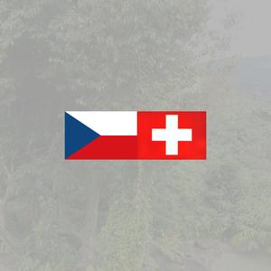 CZECH SWISS (feat. RIZZU, STUMP, KNEAF, MAYA FROM THE BURGH & SEBBYPICKLES) (Explicit)