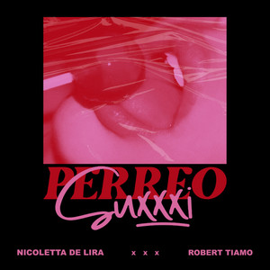 Perreo Suxxxi (Explicit)