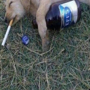 DETHRACE 777 - TH€ZE MF DØNT KNO ME !! (Explicit)