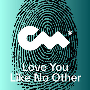 Love You Like No Other