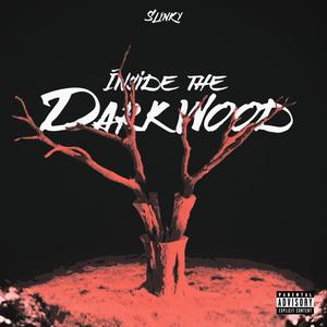Inside the Darkwood (feat. Protoelle) (Explicit)