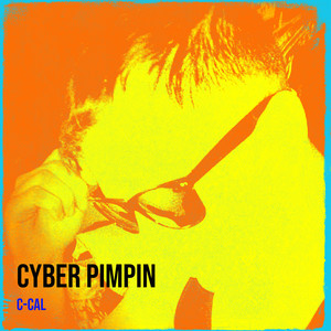 Cyber Pimpin (Explicit)