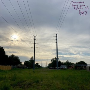 Corrupted hard drive blues III