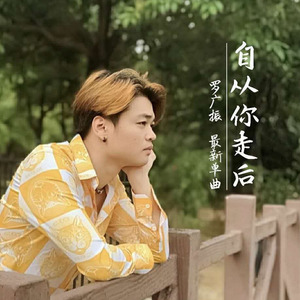 罗广振 - 自从你走后