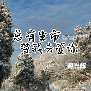 总有生命替我去爱你 (伴奏)