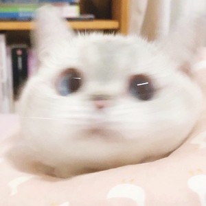 我妈三天没打我啦