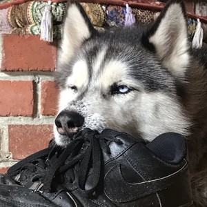 Back & Better (Explicit)