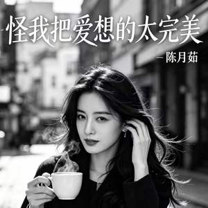 怪我把爱想的太完美. (DJ豪大大版)