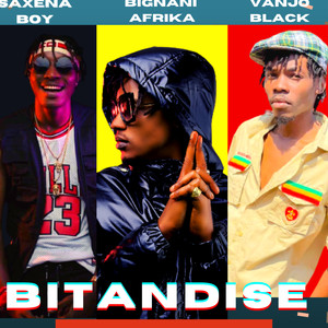 Bitandise