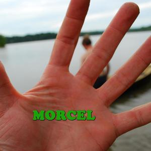 Morcel