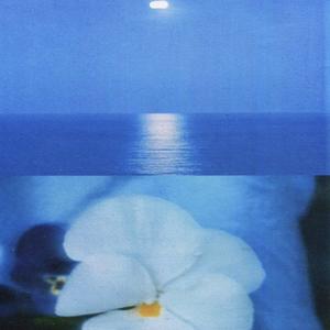 smoke so viel (feat. NYCK) (Explicit)