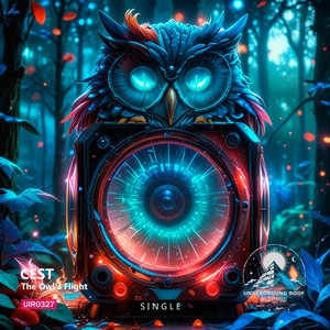 The Owl's Flight (Original Mix)