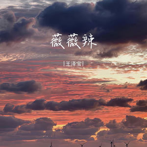 薇薇辣 (DJ版)