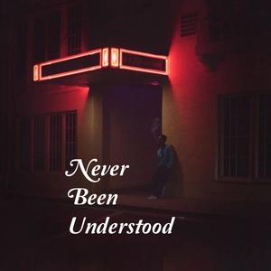 Never Been Understood (feat. DONDON, NGEE & Noah Hicks)