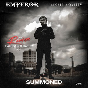 SECRET SOCIETY (HALF BAKED HARRY INSTRUMENTAL MIX)