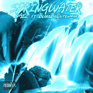 Springwater (feat. BloccBoi Dutchman) (Explicit)