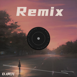 爱琴海 (博白DJ阿兴|西南DJ初心 remix)