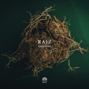 Raiz