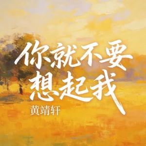 你就不要想起我