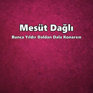 Bunca Yıldır Daldan Dala Konarsın