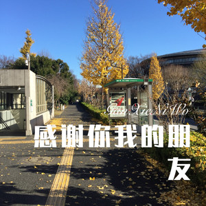 民谣姑娘 (Remix)