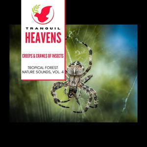 Creeps & Crawls of Insects - Tropical Forest Nature Sounds, Vol. 4