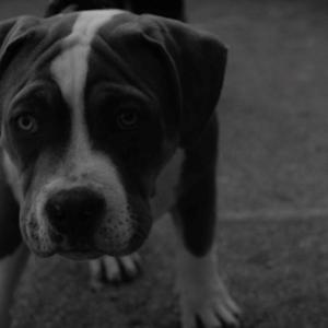 Hechos Reales (INFIERNO EP)