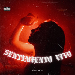 Sentimiento Vivo