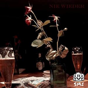 NIE WIEDER (feat. J.Slevin, Dr.Platte & Selvage303)