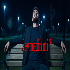 Sevmedin'mi