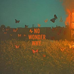 No Wonder Why (Explicit)