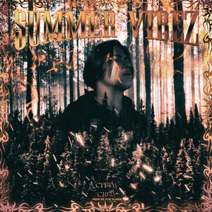 Summer Vibez (Explicit)