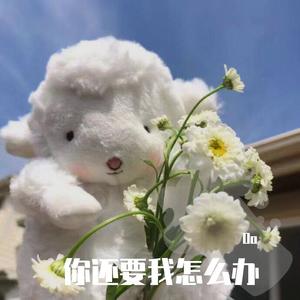 你说要我怎么办