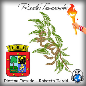 Reales Tamarindos