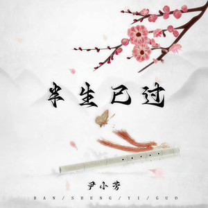 半生已过 (伴奏)