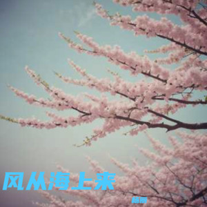 缘分天注定 (伴奏)