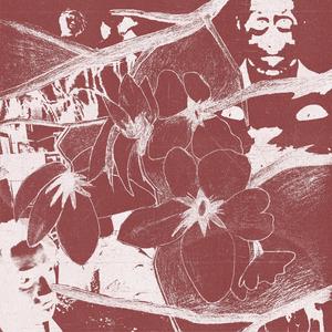 IMU (Cinematic Version)