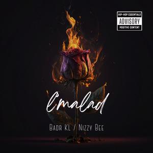 L'Malade (feat. Nizzy Bee) (Explicit)