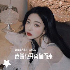 大赦天下之水龙弹 (DJ版)