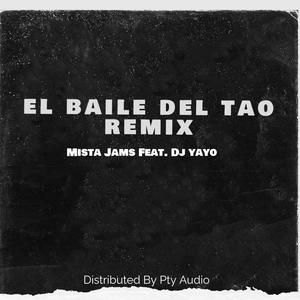 El Baile Del Tao (DJ YAYO Remix|Explicit)