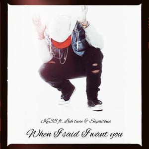 When i said i want you(feat. SapaDonn & Luh Tune) (Explicit)