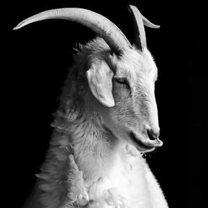 Anothervic (feat. Csgbeez) (Explicit)