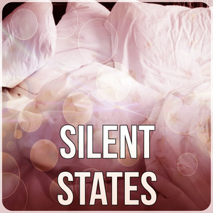 Silent States - Sound Therapy for Stress Relief, In Harmony with Nature Sounds, Spa & Yoga, Chill Out Music