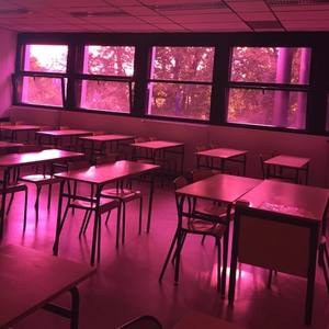 after school (Explicit)