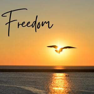 Freedom