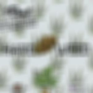 Hard Weed (feat. Real Arsenal)