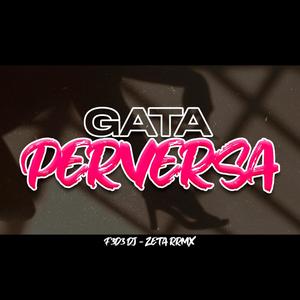 Gata Perversa (feat. Zeta RRMX) (Remix)