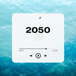 2050 (Explicit)