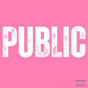 Public (Explicit)