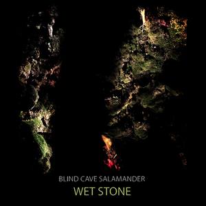 Wet Stone